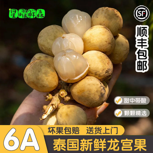 泰国新鲜龙宫果酸甜爽口顺丰包邮