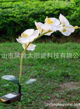 太阳能白色蝴蝶兰灯仿真花LED灯太阳能草坪灯花园公园装饰灯地插