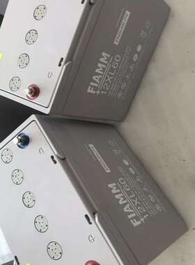 FIAMM非凡蓄电池12XL60 机房ups电源 12v60ah免维护铅酸蓄电池