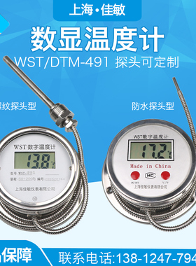 精密数显温度计WST/DTsM491高精度酸碱温度表工业防水水温表测温