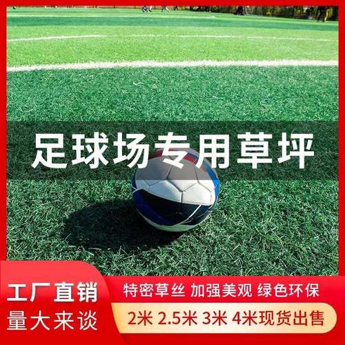 足球场仿真草坪网球场运动场硬草丝草皮双色带白线人造假免填充