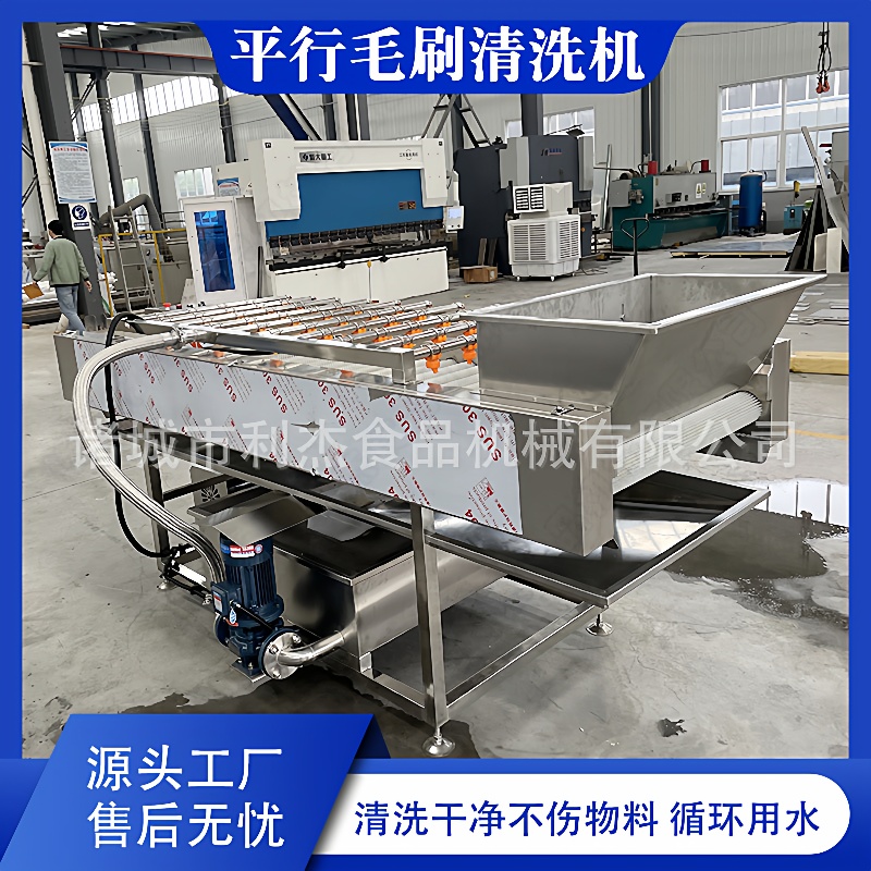 供应红薯毛刷清洗设备红枣滚动清洗去泥机海蛎子毛辊清洗机优惠