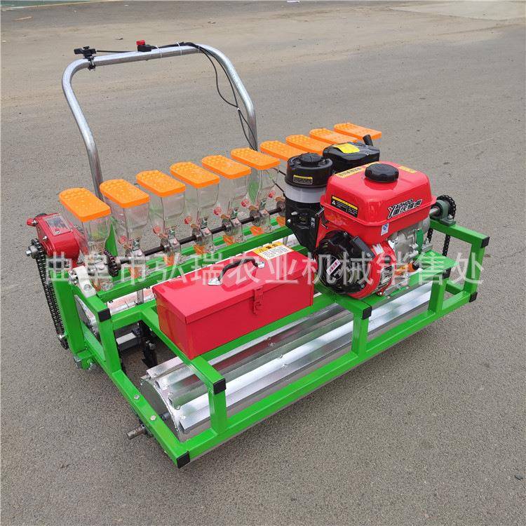 汽油动力蔬菜播种机辣椒芹菜精量播种机小颗粒种子单粒精播机