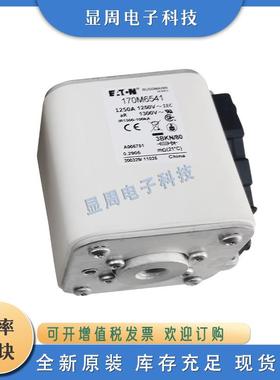 全新保险丝熔断器170M6559 170M6560 170M6561 170M6562 170M6563