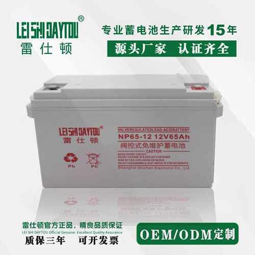 雷仕顿蓄电池12v65AH NP65-12铅酸免维护蓄电池UPS EPS直流屏用