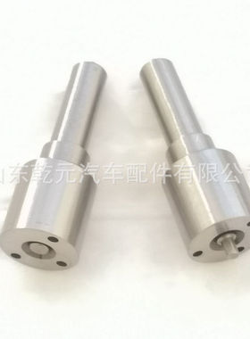 国产全新  DSLA150P1248 共轨喷油嘴   零售