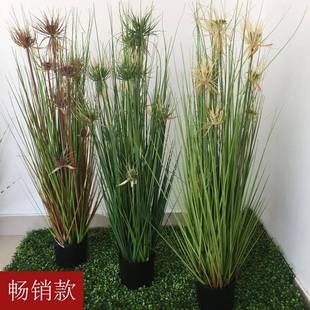 仿真晴天草盆栽芦苇草狗尾草绿植水生水草田园装饰植物盆景盆栽