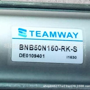 TEAMWAY气缸 DNB40M900-LB-ST  DNB40M900-LB-ST