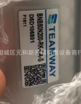 TEAMWAY气缸R07-3V2-220V-LIJ加工中心