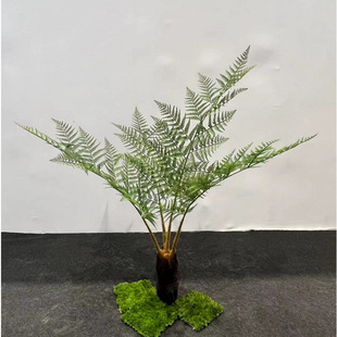 仿真桫椤树热带假树假沙罗树景观室内装饰绿植森系植物大型摆件