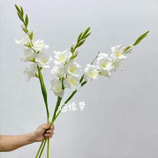 剑兰花彷真花装饰摆饰花卉高档假花高级感客厅落地大花瓶插花婚庆