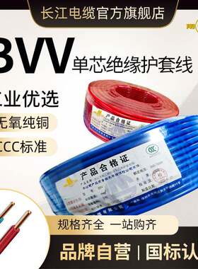广东长江电缆BVV1.5/2.5/4/6/10/16平方双塑单芯国标硬护套电线