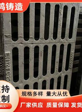 铸铁雨水篦Q235材质300x500380x500450x750适用于小区市政