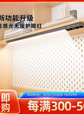 国AA级全光谱护眼灯学习专用儿童灯阅读书桌吸顶灯长条灯其他