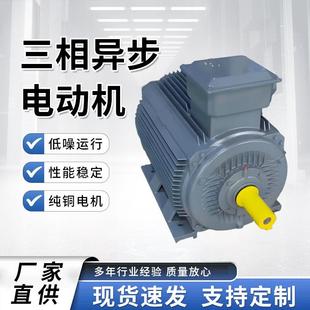 22W交流马达工业机械 6级 三相异步电机铜芯380v电动机YE3 200L2