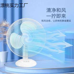 12/16寸 电风扇落地加密安全网罩便捷桌面电风扇