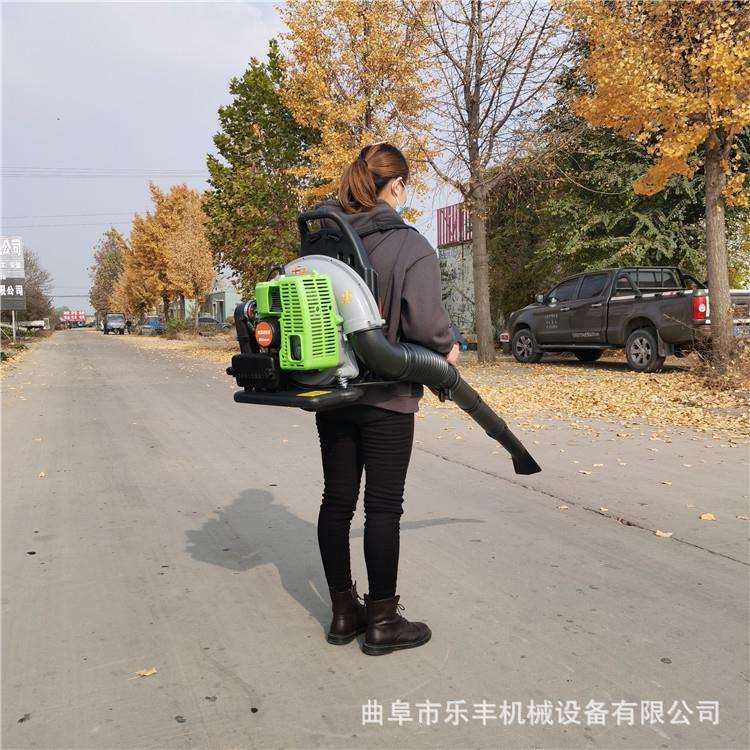 路面吹风机 四冲程汽油吹雪机 大功率森林园林树叶吹叶机