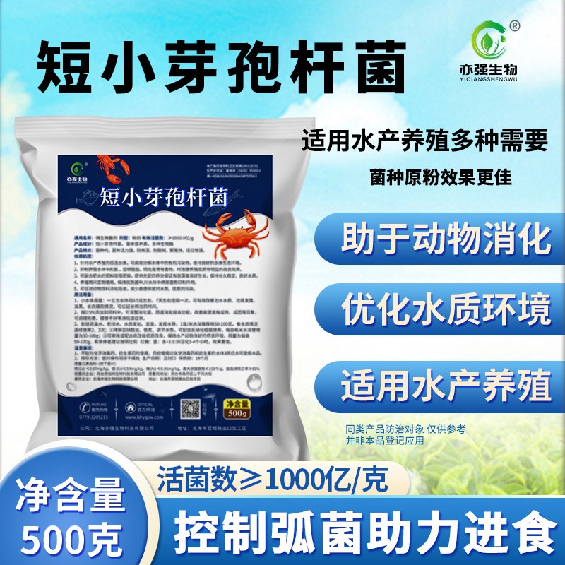 短小芽孢杆菌水j产养殖冬天环境低温污水处理水体底质微生物菌种