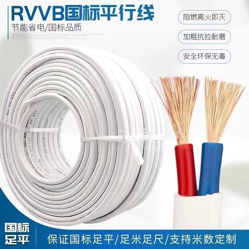 国标白色护套线电线电缆2芯2.5/4/6平方室Q外防冻家用线电源线
