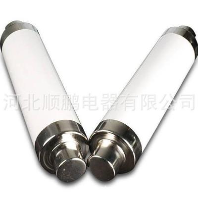 商家直销高压限流熔断器XRNT-12KV/40A熔断器高压熔断器