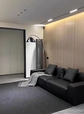 2024新款黑色高级感轻奢极简客厅D地毯沙发地垫防水防污免洗可擦