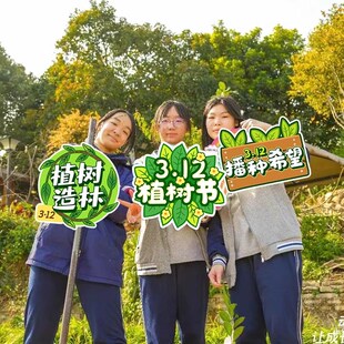 植树节场景布置kt板背景板幼儿园环创展板挂牌春天户外装饰手举牌