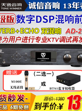 Winn-r/ ADe208混响器专业家用k歌卡拉ok机前级效果器话筒KTV