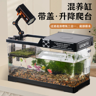 家用生态养乌龟饲养缸造景全套浮岛晒台爬台龟缸客厅新款溪流鱼缸