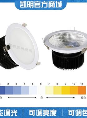 智能照明2700K6500K调光调色LED筒灯30W40W50W60W色温控制筒灯