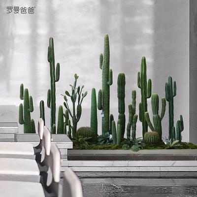 罗曼爸爸室内创意造景仿真植物大型仙人掌仙人柱落地组合盆景装饰