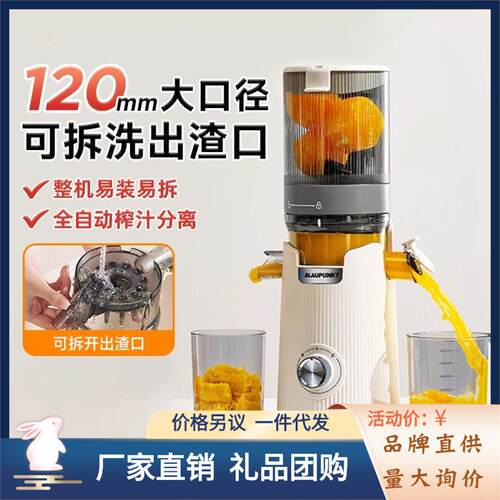 蓝宝大口径原汁机榨汁机小型家用渣汁分离全自动炸果汁机果蔬YJ02
