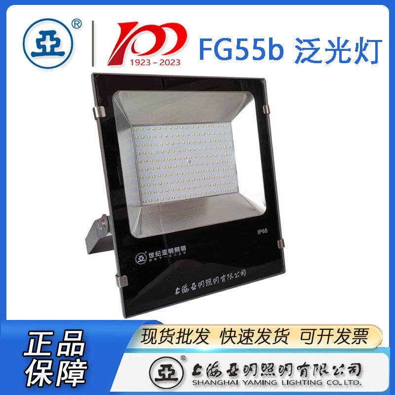 上海亚明LED投光灯具FG55b 系列 亚明投光灯具泛光灯具广告牌照明