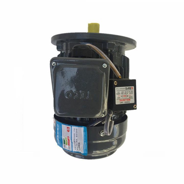 TECO东元电机2.2KW 3.7KW 5.5KW 7.5KW立式AEVF TVGH