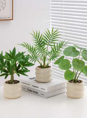 仿真绿植发财树客厅玄关办公室工位桌G面小盆栽室内电视柜装饰摆