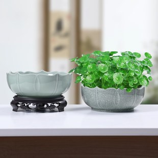 哥窑水仙花盆陶瓷大号无孔铜钱草专用一叶莲碗莲盆多肉大口径水培