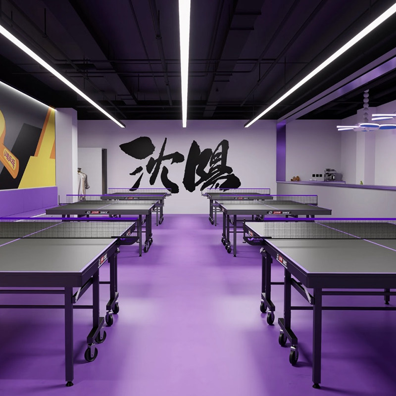 乒乓球地胶室内球馆场地专业pvc塑胶运动地板乒乓球室专用地胶,运动/瑜伽/健身/球迷用品,塑胶/运动地板,淘宝优惠券,粉丝福利购,淘宝优惠卷