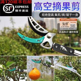 摘果神器荔枝龙眼枇杷树枝剪伸缩杆高空剪加长香椿高枝剪采摘修枝