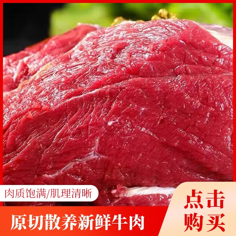 新疆正宗散养草饲牛肉肉香不腻
