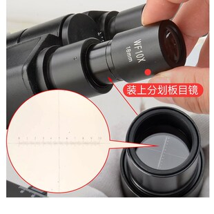 18大视场带测微尺通用标准口23.2mm 生物显微镜广角分划板目镜10X