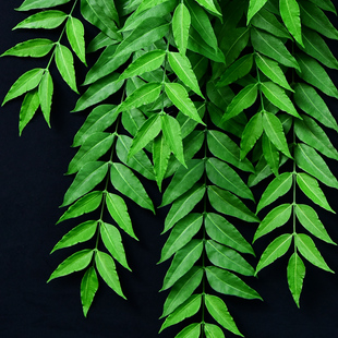 仿真发财树叶子壁挂假花藤条装饰吊篮塑料藤蔓植T物绿植垂吊花墙