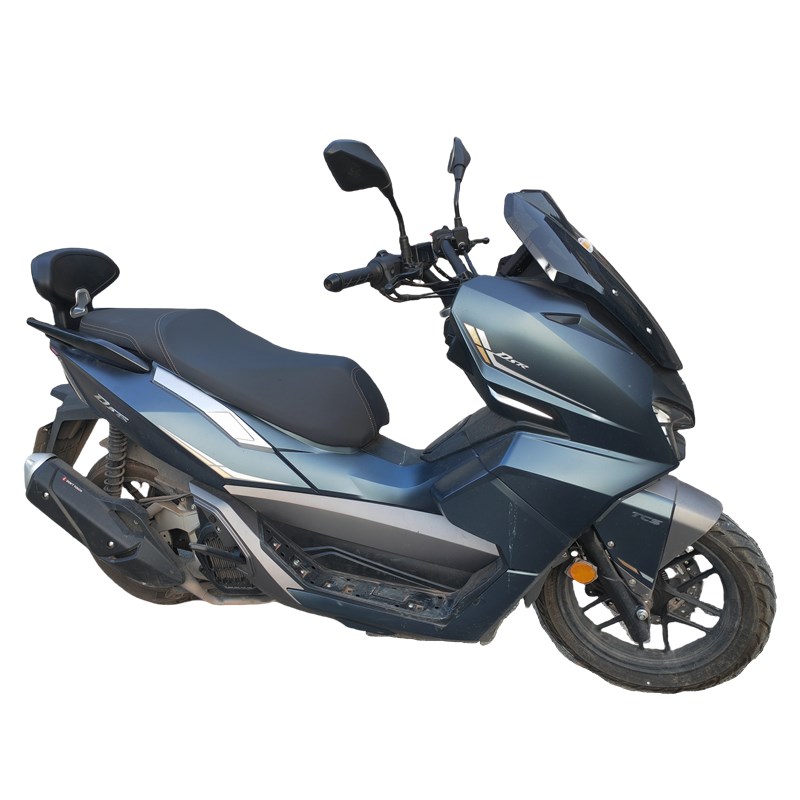 适用于台荣荣150后靠背荣25w0后座靠背靠垫后尾翼GC250T改装配件