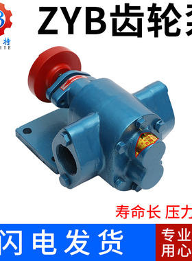 高温齿轮油泵头ZYBo-小型机油齿轮泵头自吸式高压齿轮油泵豆渣油