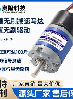 奥隆PG36-3626/微型直流减速电机12v24v电动机可调速低速小型电机