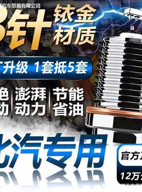 适配北京E系列F40/U5/X5/X7智达X3火花塞原厂1.3/1.5/2.0/2.3