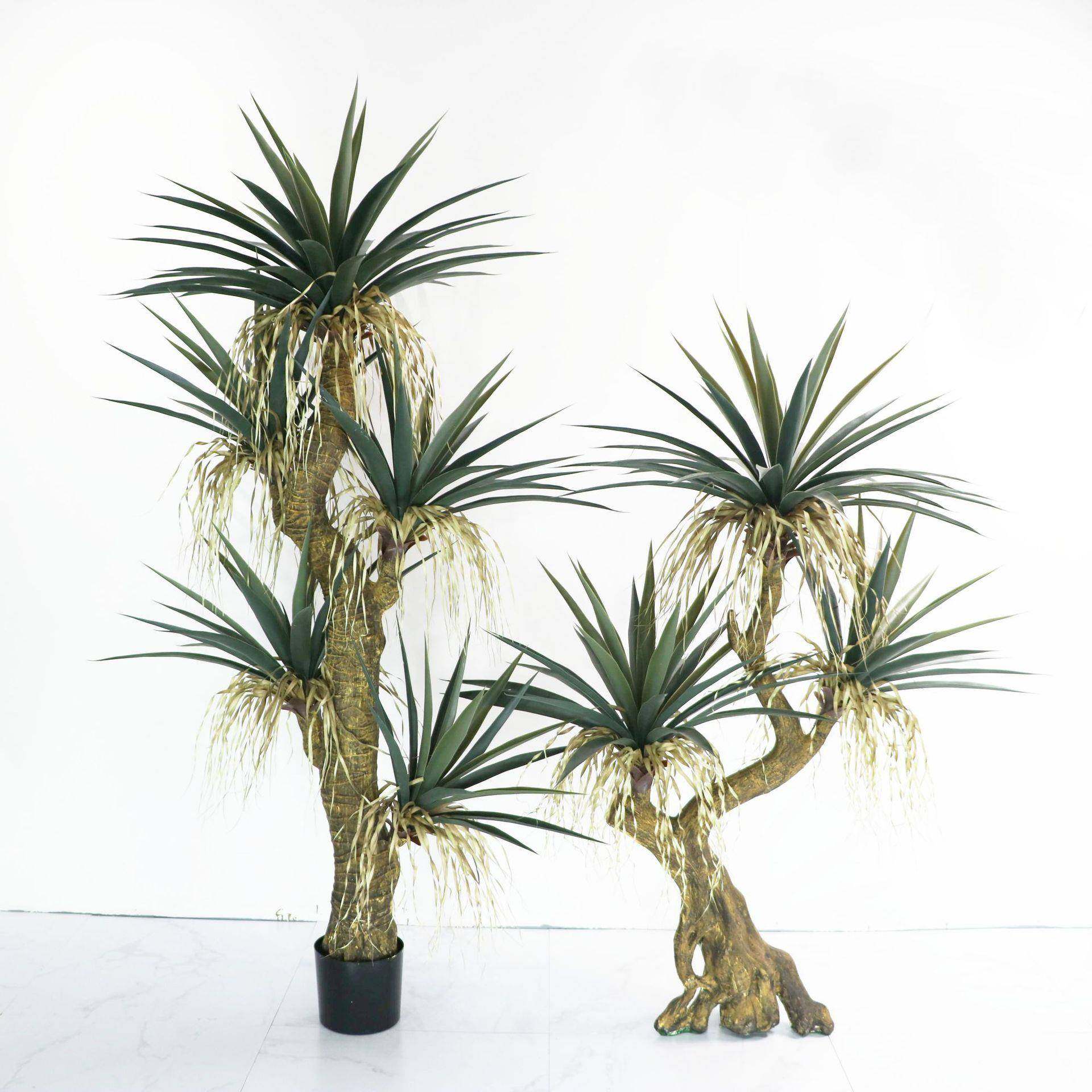 仿真造型树龙血铁书桂花树茶花树室内造景橱窗绿植盆景假植物