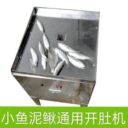 全自动杀小白条杀小鱼机开肚去内脏机泥鳅小鲫鱼杀鱼机