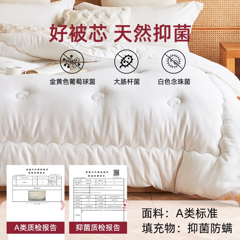 A类全棉51%大豆纤维被子加厚保暖棉被春秋学生被褥四季通用被芯
