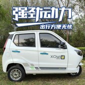 牛电小蚁全封闭电动n三轮车女士出行接送孩子新国标可上牌油电两
