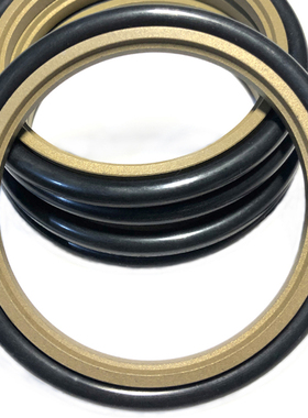 斯特封GSR/STd170k*185.5*191/175*190.5/180*195.5 *201*6.3*8.1