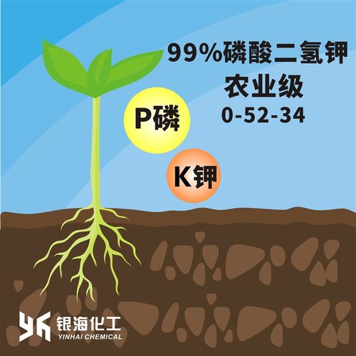磷酸二氢钾 25kg装 钾肥磷肥农业级银海化工包邮物流